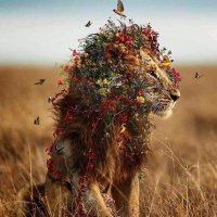 ,َالجوري (@joorysalim) 's Twitter Profile