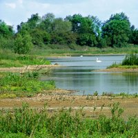 Idle Valley Reserve (@idlevalleychat) 's Twitter Profile