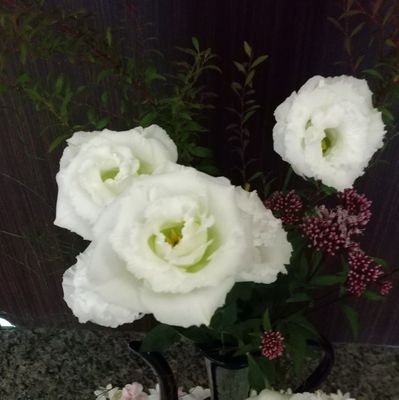 Du3IHu6psciKCxt's profile picture. 空の雲をみたり
生け花が好きです
かなだいやピアノではよみぃさんが好きです
ツイッター初めてでわからない
事だらけですがよろしくお願いします。