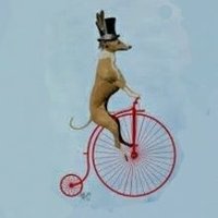 Paul - Bloke on an Ordinary bicycle(@FinchettsBrook) 's Twitter Profile Photo