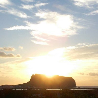 megurorei728's profile picture. 