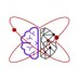 Quantum Neuroscience Lab (@QN_lab) Twitter profile photo
