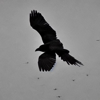 CrowWhatever's profile picture. Long live Free Iran