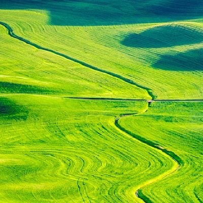 sn556633's profile picture. 