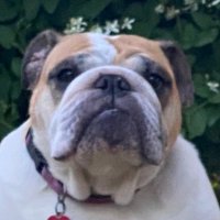Kellz (@samnantsma) 's Twitter Profile