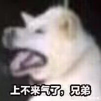 DogeTwilight's profile picture. wssb