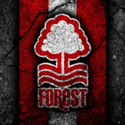 NFFC till I die, Interests : Into motorcycles, recently into Metal Detecting for the history and the peace and quiet and sometimes you need some downtime.