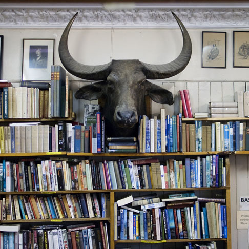 AdamDynamic's profile picture. 