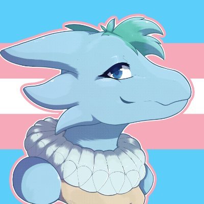 Ruhveli 🐲さんのプロフィール画像