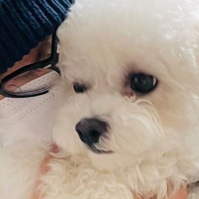 jenyangloml777's profile picture. 🐈