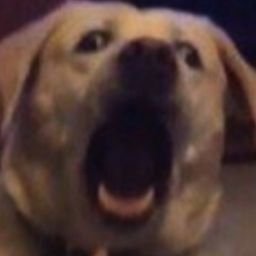 ajiygotu's profile picture. 