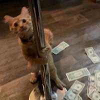 leen (@acilisty) 's Twitter Profile