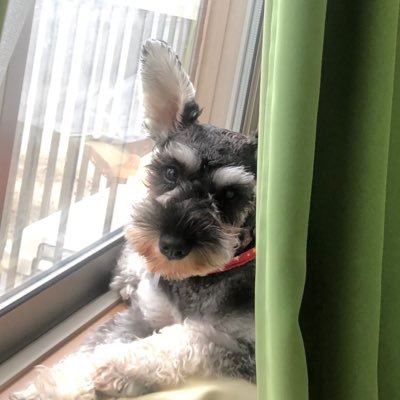matsu_xrp's profile picture. 趣味はキャンプ⛺ #NISA S&P500 VTI💰 #仮想通貨💰やってます。#BTC #XRP #ETH #ADA🎉 愛犬家🐶、 無言歓迎😘保護猫🐱が家族になりました👨👨👦