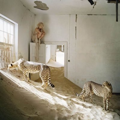 sunfloey's profile picture. #teagang