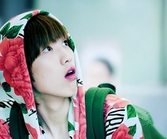 b2st, DGNA, X-5, Super Junior, SNSD, T-ARA, KARA, f(x), woder girls, teentop, B1A4, boyfriend, big bang, SS501, secret , ze;a, infinite, 
Kpop love it