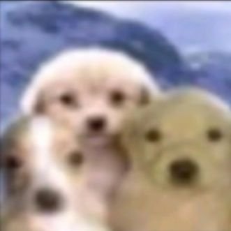 iocakkjj's profile picture. baseado