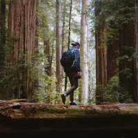 Ricky Wright (@rickywrong) 's Twitter Profile