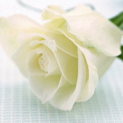 Hayde221's profile picture. SINGLE LIFE