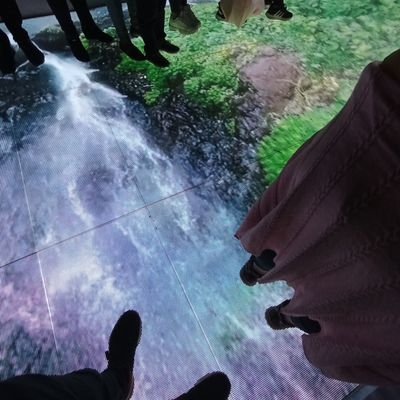 josepaniaguaa's profile picture. Interesante