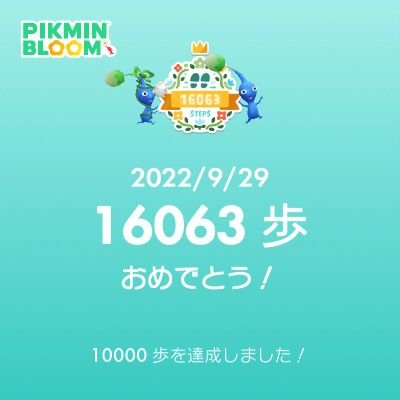 中国に留学して日本のことを色々考えるようになりました。
犬と猫を飼っています。
歴史好きです。皆さんのtweetで勉強させてもらっています。

※私のRT、「いいね」は必ずしも内容を保証、支持するものではありません。