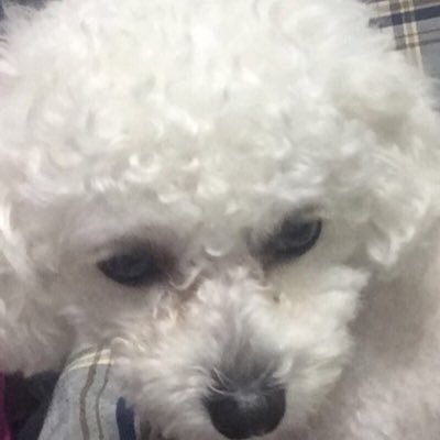 6-修罗さんのプロフィール画像