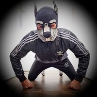 Puppy Jack (@puppyjack3) 's Twitter Profile