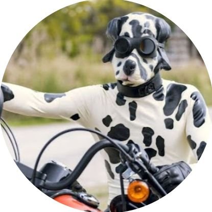 DalmatianRoad's profile picture. Traveling Card Counter