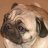 Salva Mont (@yodukito) Twitter profile photo