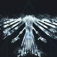 Grey Feather (@greyfeatheratx) 's Twitter Profile