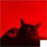 aaronjuddd's profile picture. Never Trust the Living.