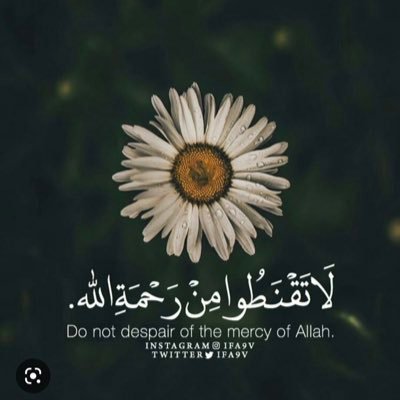 959_a's profile picture. 