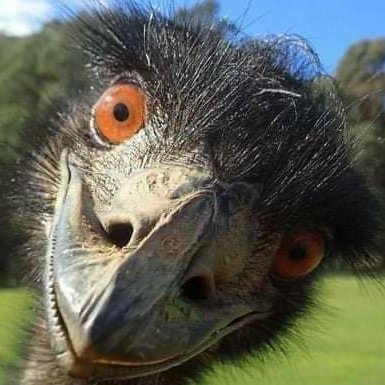 flyingwhiteegel's profile picture. Be happy. keep your smile.Dont ever give up.Knowledge comes from learning. Wisdom comes from living.
You only live once, but if you do it right, once is enough.