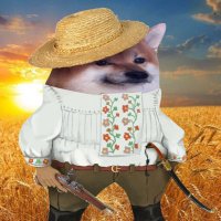 Myroslav ✙ (@myrodovh) 's Twitter Profile