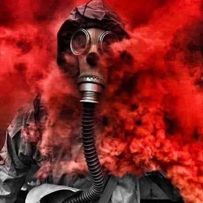 ciganin44's profile picture. 