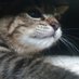 Nniikk vel ..... (@jola93970590) Twitter profile photo Nniikk vel ..... (@jola93970590) Twitter profile photo