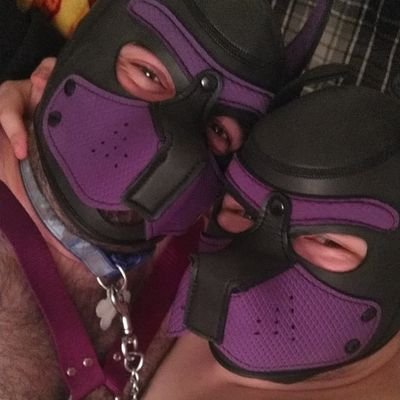 a purple pup who plays games on PS5. 18+ accounts only.
Snapchat: ask for that