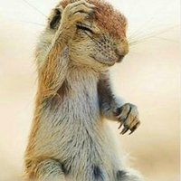 Adalbert Rex (@adalbertrex) 's Twitter Profile