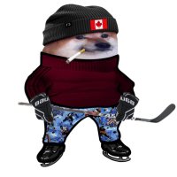 A Canadian Fella 🇨🇦 (@rah514) 's Twitter Profile