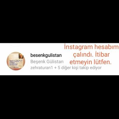 besenk_gulistan's profile picture. 
