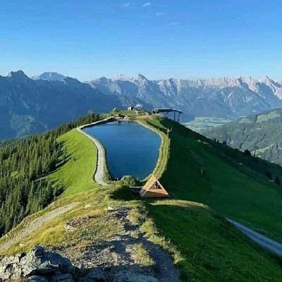 md43475888's profile picture. 