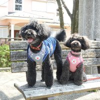 FukuTaka (@fukutaka6) 's Twitter Profile Photo FukuTaka (@fukutaka6) 's Twitter Profile Photo