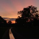 maddison Phillips - @maddiso09763247 - Twitter