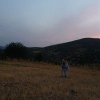 Durmuş Ali Bayri (@durmusalibayri) 's Twitter Profile