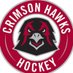 IUP Ice Hockey (@IUPIceHockey) Twitter profile photo