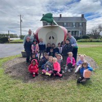 Allison Yost (@msyostteaches) 's Twitter Profile Photo