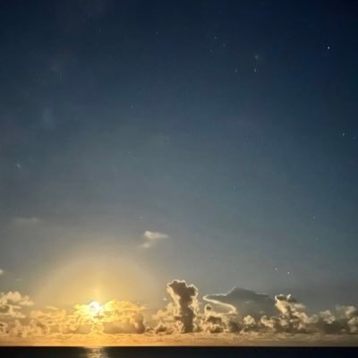 RHMSukipi's profile picture. 美味しいもの好き🍽 #MZDAO初期メンバー 🍩Twitter始めてみました♫