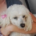 Bridgette Ward - @bridgette_w1 - Twitter