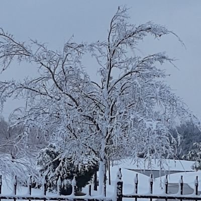 GrandpaRob31's profile picture. 