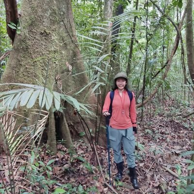 PhD candidate @UCLGeography EO Group, interested in LiDAR and trees.