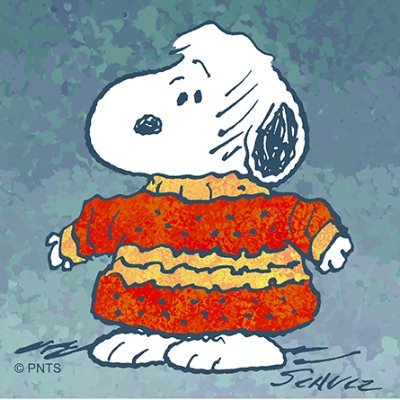 karakoko_2's profile picture. 🇵🇷🇵🇷🇵🇷🇵🇷🇵🇷